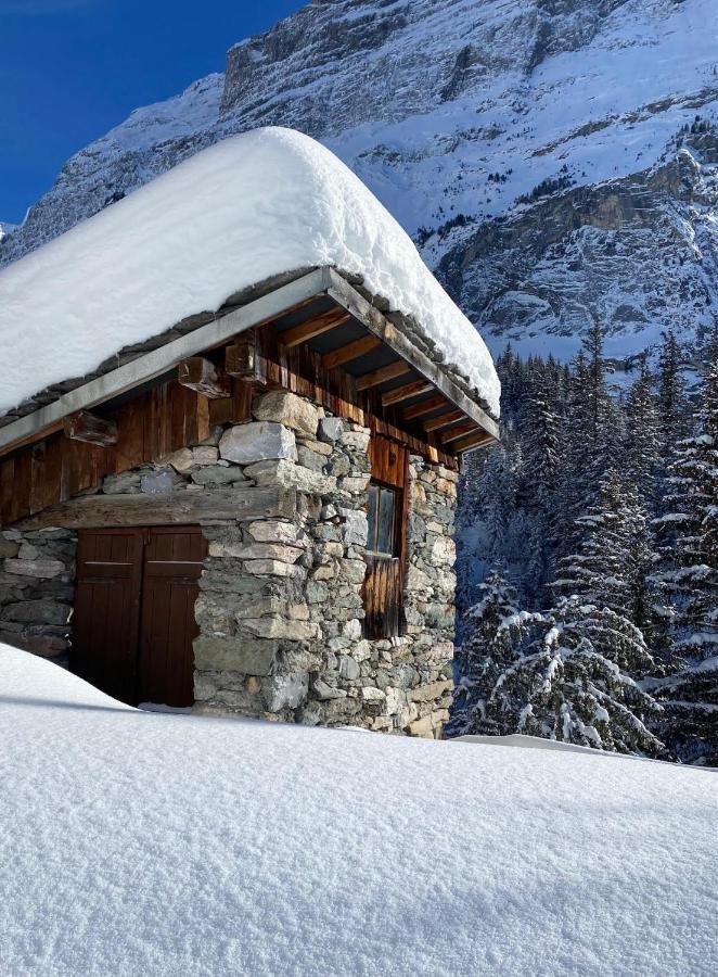 L'edelweiss Pralognan-la-Vanoise