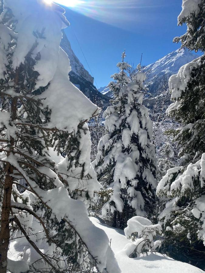 Hotel L'edelweiss Pralognan-la-Vanoise
