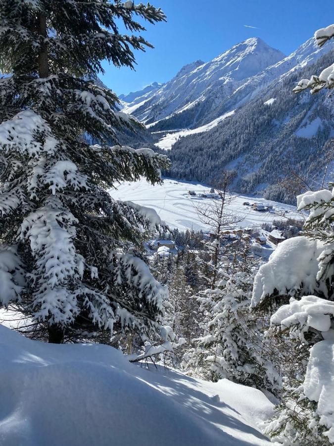 L'edelweiss Hotel Pralognan-la-Vanoise
