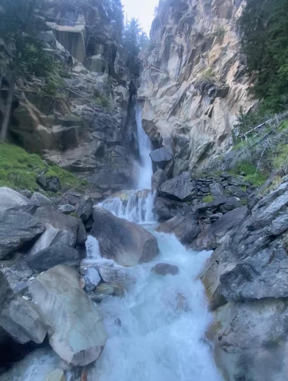 L'edelweiss Pralognan-la-Vanoise